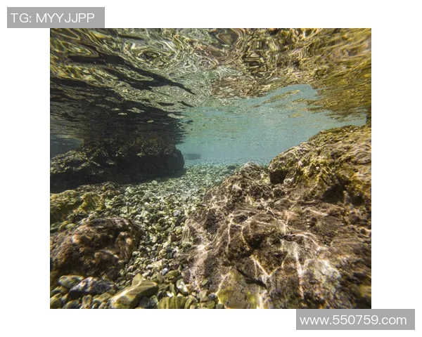 探索伊维安的魅力与健康之旅,感受自然之水的滋养与生活的美好