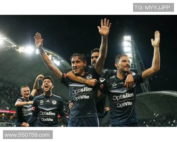 墨尔本城与西布朗对决前瞻分析及比赛结果预测